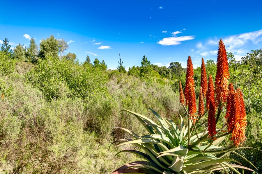  Bedroom Property for Sale in Wilderness Heights Western Cape